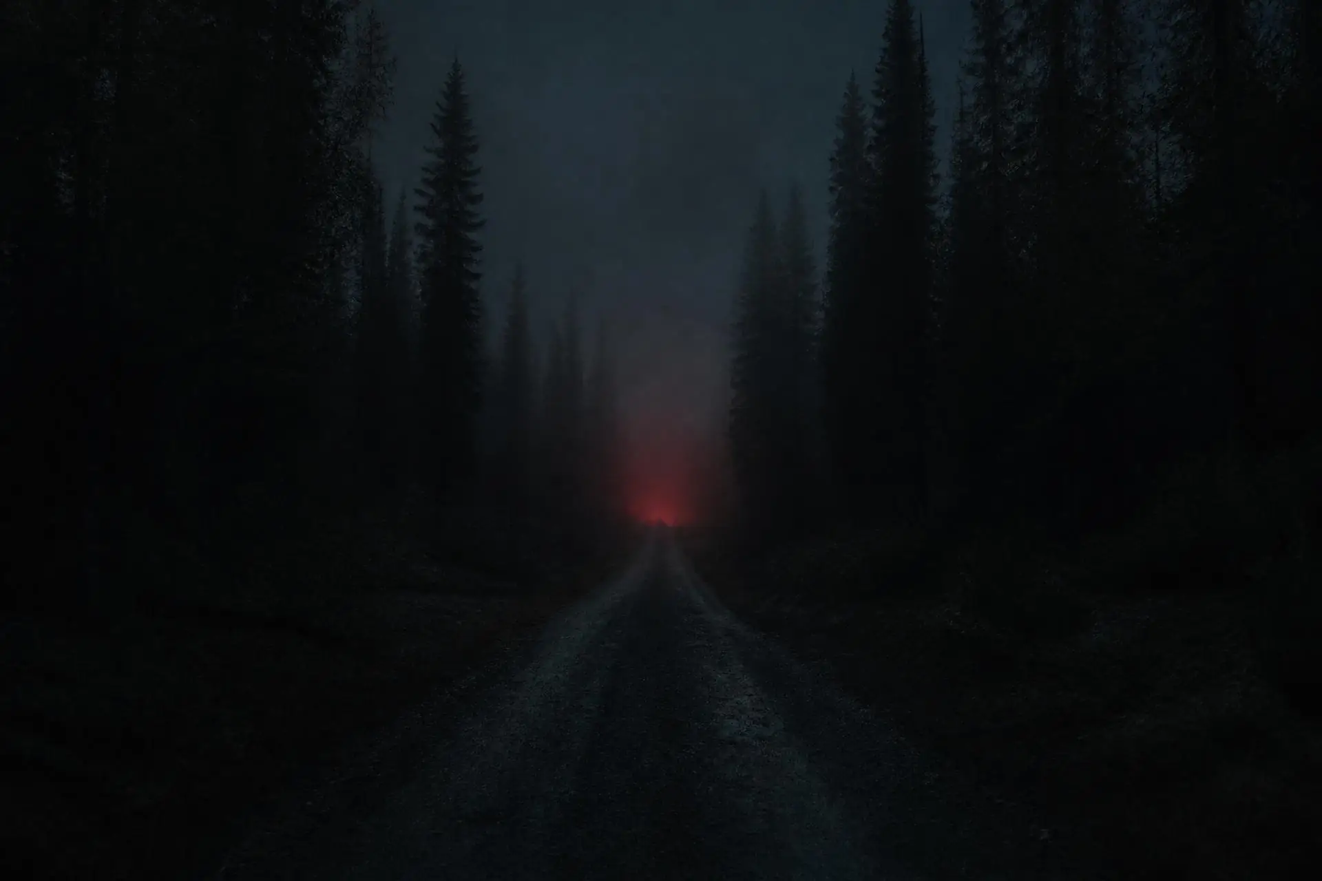 A gravel road vanishing into dense night forest